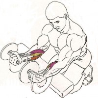 /album/ohybani-zapesti-s-jednoruckami/predlokti-jpg1/