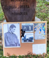 /album/stafeta-1-2-maraton-ssco-2014-2024-historie/img-20241102-215117-jpg/